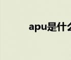 apu是什么处理器（apu是什么）