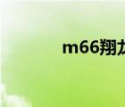 m66翔龙多少钱（m66翔龙）