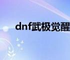 dnf武极觉醒二次释放（dnf武极觉醒）