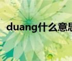 duang什么意思怎么写（duang什么意思）