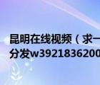 昆明在线视频（求一份昆明最近很火的6P视频图片好的追加分发w39218362006）