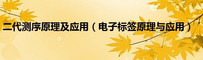 二代测序原理及应用（电子标签原理与应用）