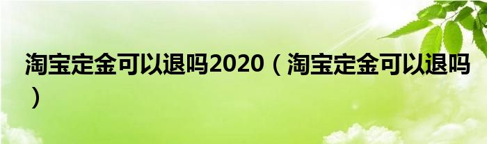 淘宝定金可以退吗2020（淘宝定金可以退吗）