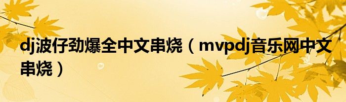 dj波仔劲爆全中文串烧（mvpdj音乐网中文串烧）