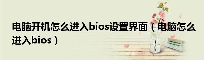 电脑开机怎么进入bios设置界面（电脑怎么进入bios）