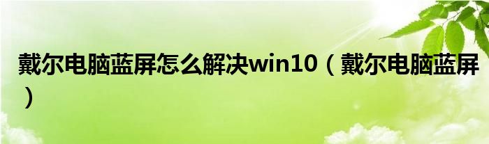 戴尔电脑蓝屏怎么解决win10（戴尔电脑蓝屏）