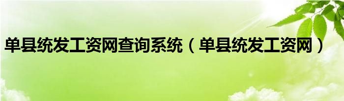 单县统发工资网查询系统（单县统发工资网）