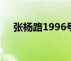 张杨路1996号怎么走（张杨路1996号）