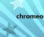 chromeos国内版（chrome os）