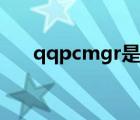 qqpcmgr是什么文件夹（qqpcmgr）