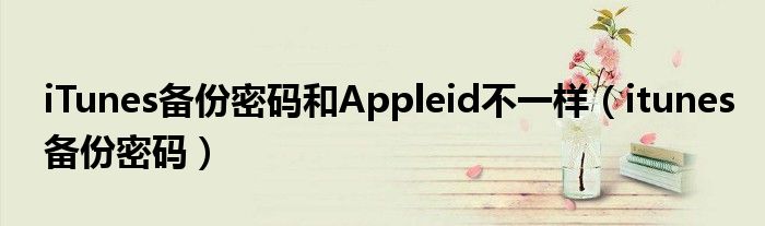 iTunes备份密码和Appleid不一样（itunes备份密码）