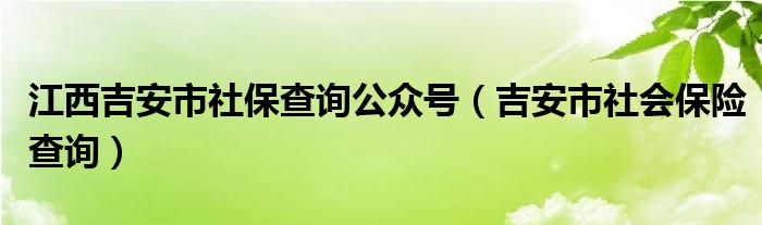 江西吉安市社保查询公众号（吉安市社会保险查询）