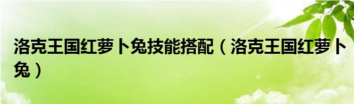 洛克王国红萝卜兔技能搭配（洛克王国红萝卜兔）