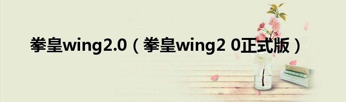 拳皇wing2.0（拳皇wing2 0正式版）