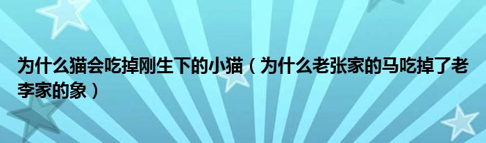 为什么猫会吃掉刚生下的小猫（为什么老张家的马吃掉了老李家的象）