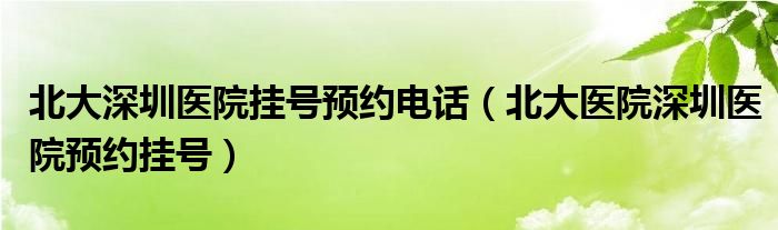 北大深圳医院挂号预约电话（北大医院深圳医院预约挂号）