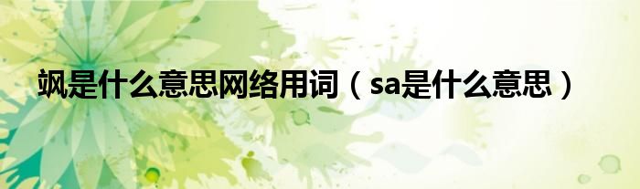 飒是什么意思网络用词（sa是什么意思）