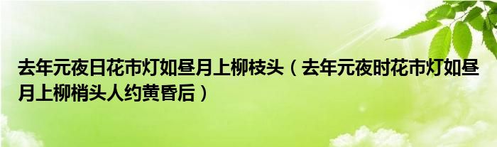 去年元夜日花市灯如昼月上柳枝头（去年元夜时花市灯如昼月上柳梢头人约黄昏后）