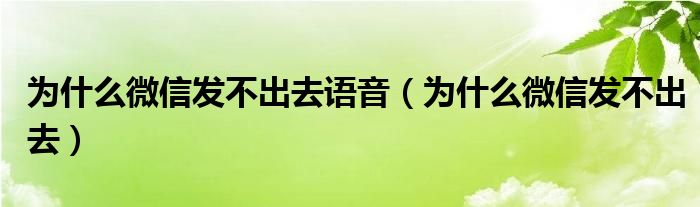 为什么微信发不出去语音（为什么微信发不出去）