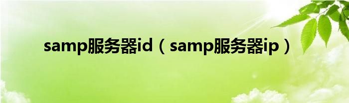 samp服务器id（samp服务器ip）