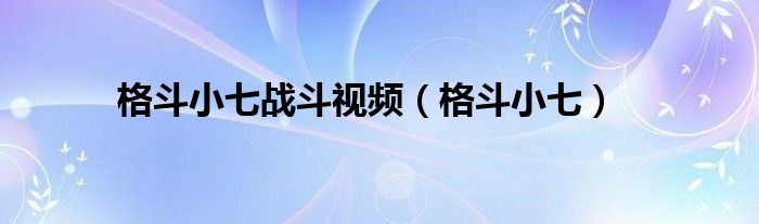 格斗小七战斗视频（格斗小七）