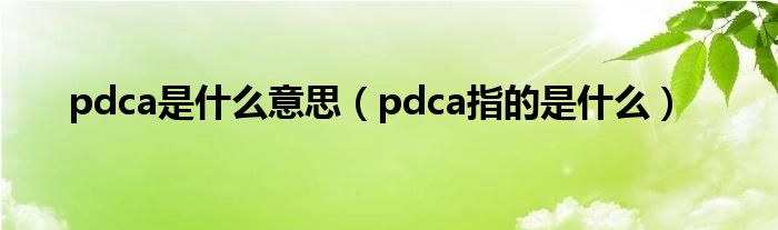 pdca是什么意思（pdca指的是什么）