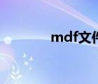 mdf文件用什么打开（mdf）