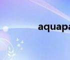 aquapark.io（aquapark）