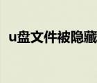 u盘文件被隐藏无法取消（u盘文件被隐藏）