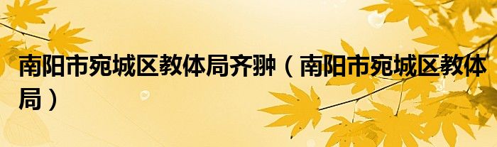 南阳市宛城区教体局齐翀（南阳市宛城区教体局）