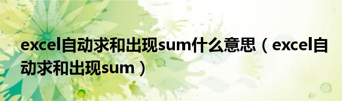 excel自动求和出现sum什么意思（excel自动求和出现sum）