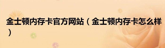 金士顿内存卡官方网站（金士顿内存卡怎么样）