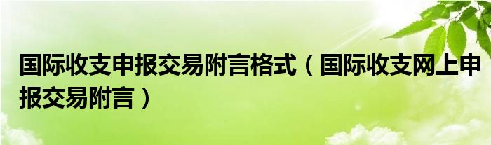 国际收支申报交易附言格式（国际收支网上申报交易附言）