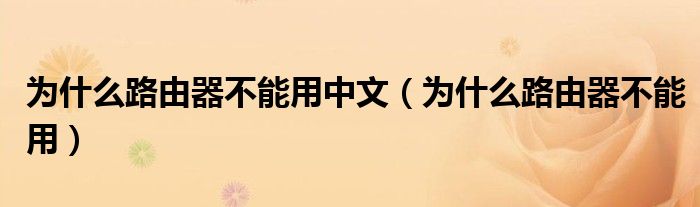 为什么路由器不能用中文（为什么路由器不能用）