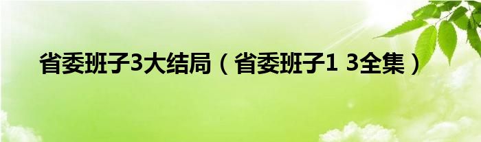 省委班子3大结局（省委班子1 3全集）