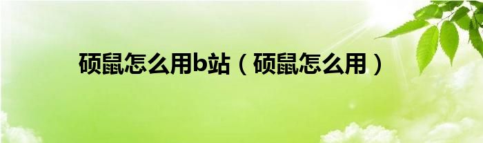 硕鼠怎么用b站（硕鼠怎么用）