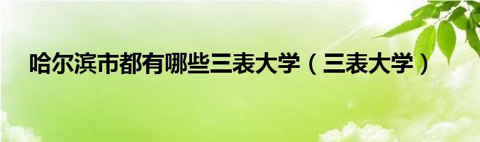 哈尔滨市都有哪些三表大学（三表大学）