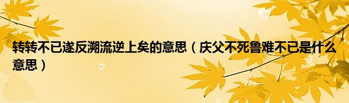 转转不已遂反溯流逆上矣的意思（庆父不死鲁难不已是什么意思）