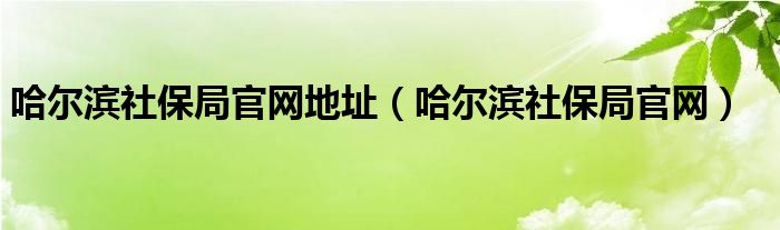 哈尔滨社保局官网地址（哈尔滨社保局官网）