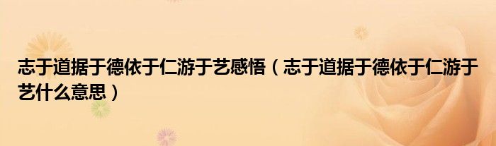 志于道据于德依于仁游于艺感悟（志于道据于德依于仁游于艺什么意思）