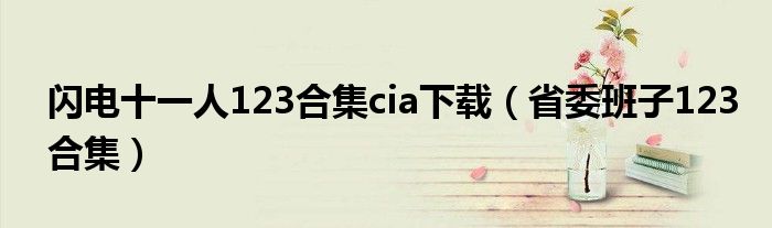 闪电十一人123合集cia下载（省委班子123合集）