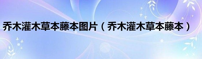 乔木灌木草本藤本图片（乔木灌木草本藤本）