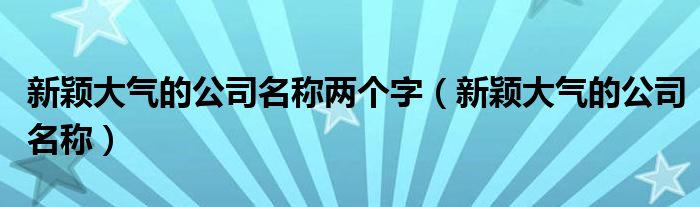 新颖大气的公司名称两个字（新颖大气的公司名称）