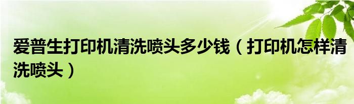 爱普生打印机清洗喷头多少钱（打印机怎样清洗喷头）