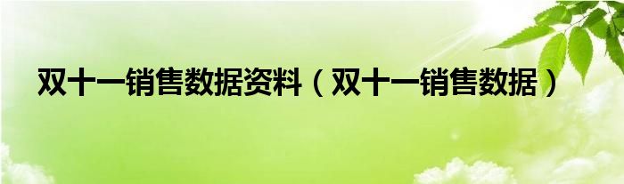 双十一销售数据资料（双十一销售数据）