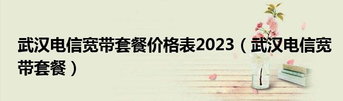 武汉电信宽带套餐价格表2023（武汉电信宽带套餐）