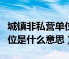 城镇非私营单位是什么意思啊（城镇非私营单位是什么意思）