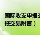 国际收支申报交易附言格式（国际收支网上申报交易附言）