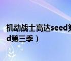 机动战士高达seed第三季 龙与天使的轮（机动战士高达seed第三季）