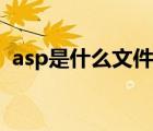 asp是什么文件的扩展名（asp是什么文件）